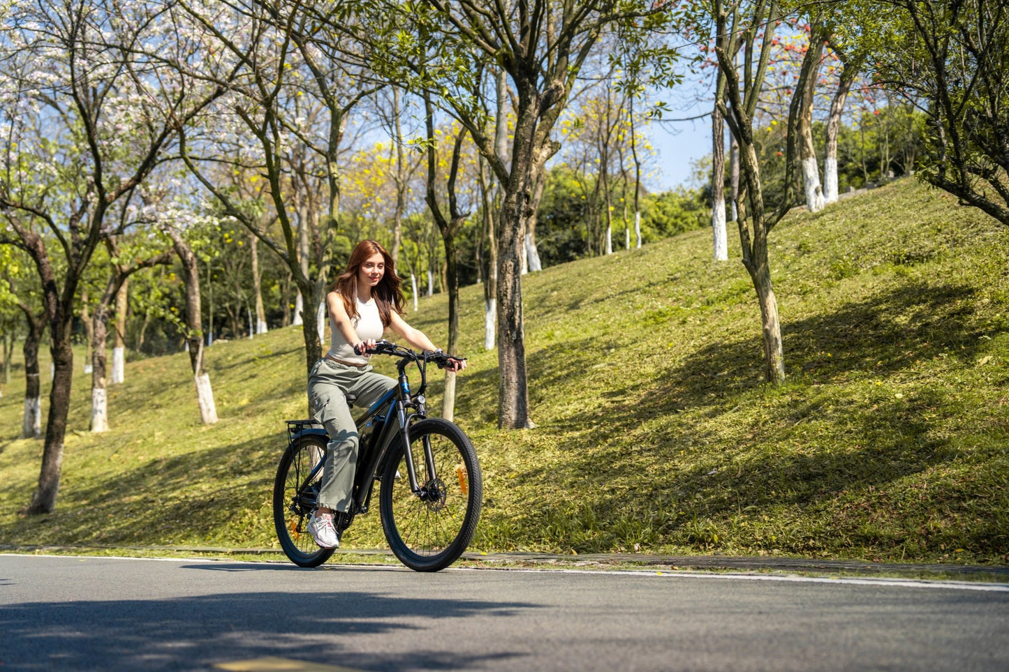 Duott's C29 Pro - Electric bike - Wheelyshop