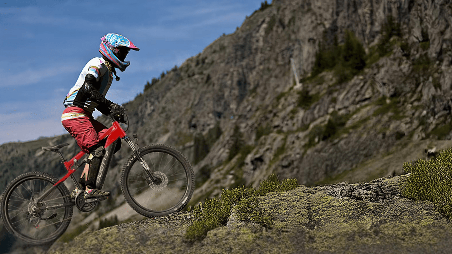 Duott's E29 - Electric bike - Wheelyshop