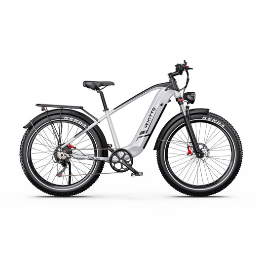 Duott's F26 Lite - Electric bike - Wheelyshop