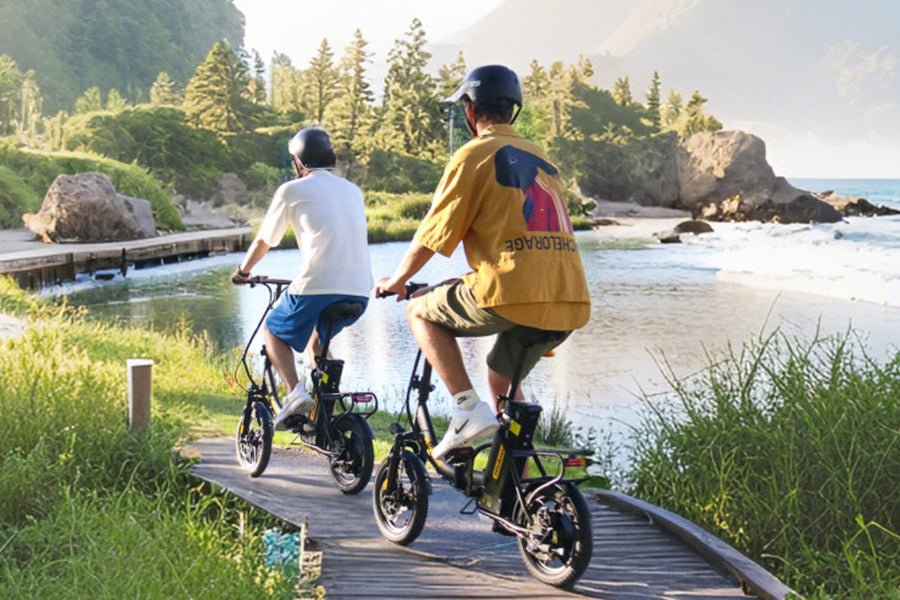 Hidoes C5 - Bicicleta eléctrica - Tienda de ruedas