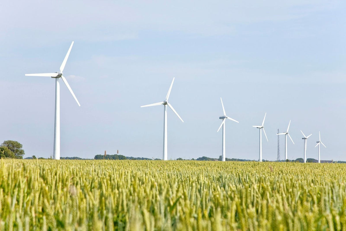 Aerogeneradores en fila tras un campo de cereal verde – cuánto cuesta la electricidad para cargar un patinete