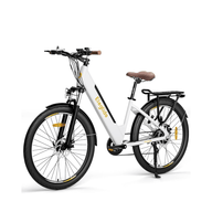 Bicicleta eléctrica de gran autonomía
