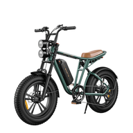 Bicicleta fatbike
