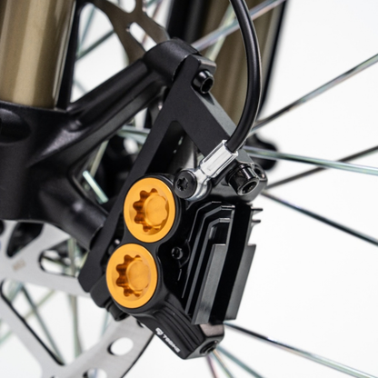 79BIKE Lynx Trail - Moto cross eléctrica - Wheelyshop
