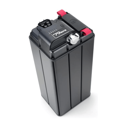 79BIKE Falcon Pro - Electric - cross - Wheelyshop