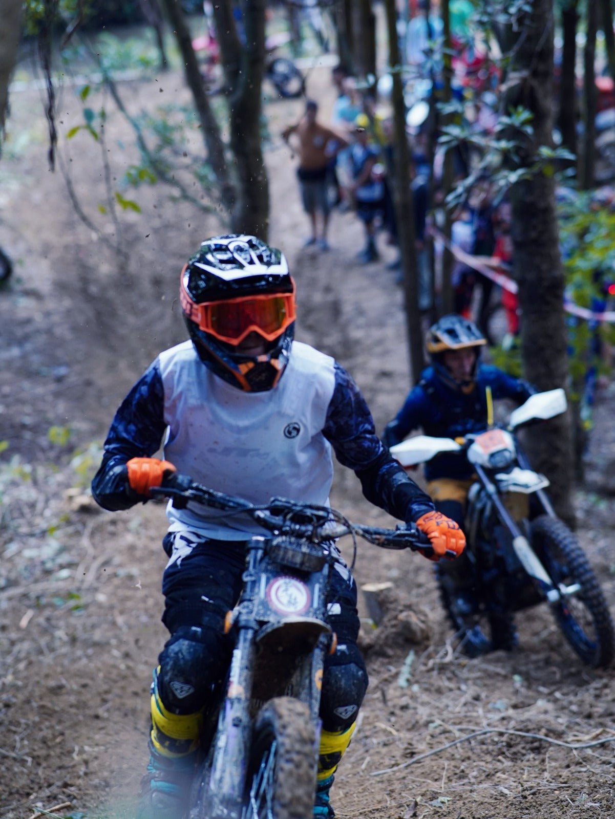 79BIKE Falcon Pro - Electric - cross - Wheelyshop