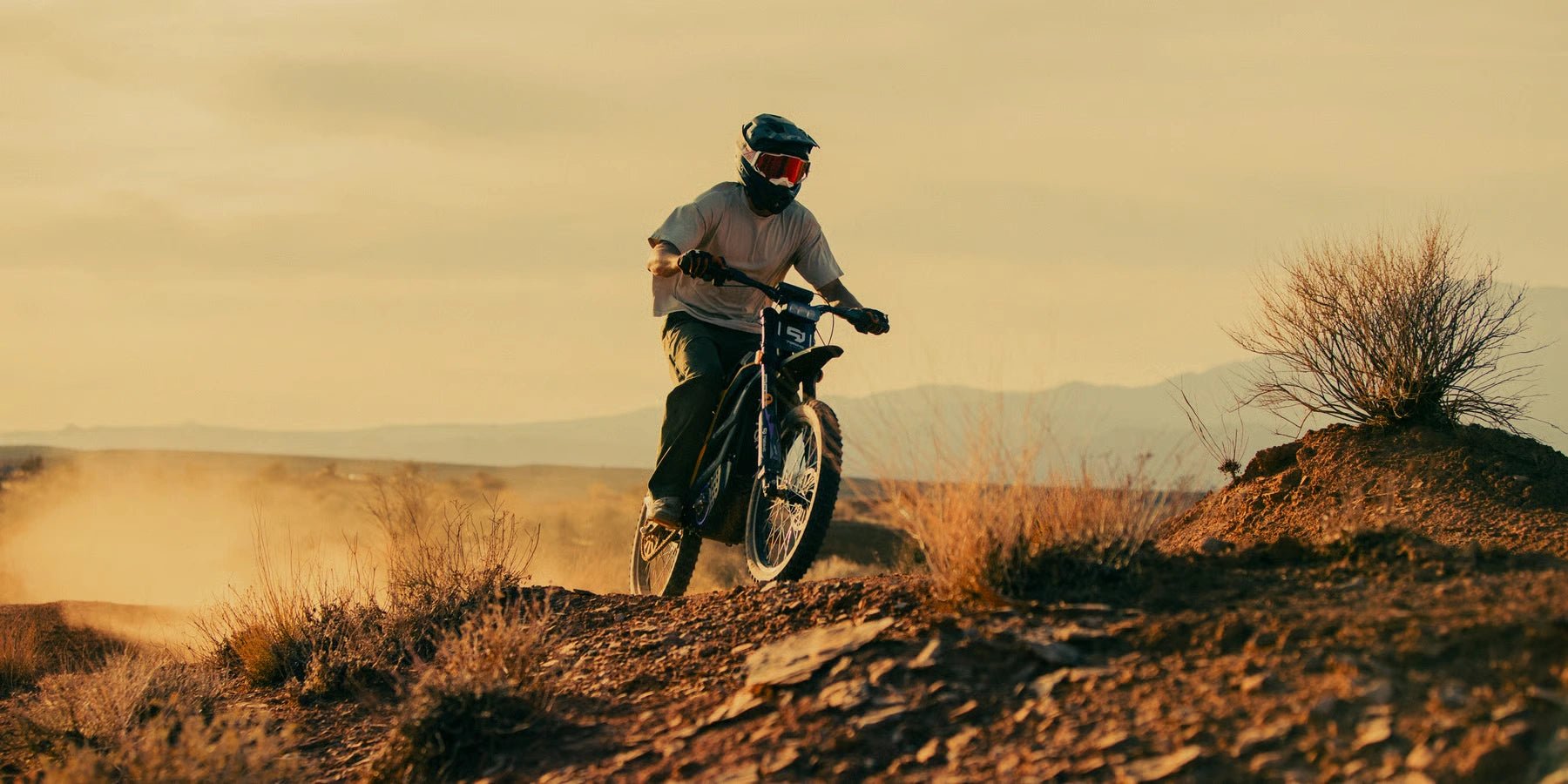 79BIKE Falcon Pro - Electric - cross - Wheelyshop