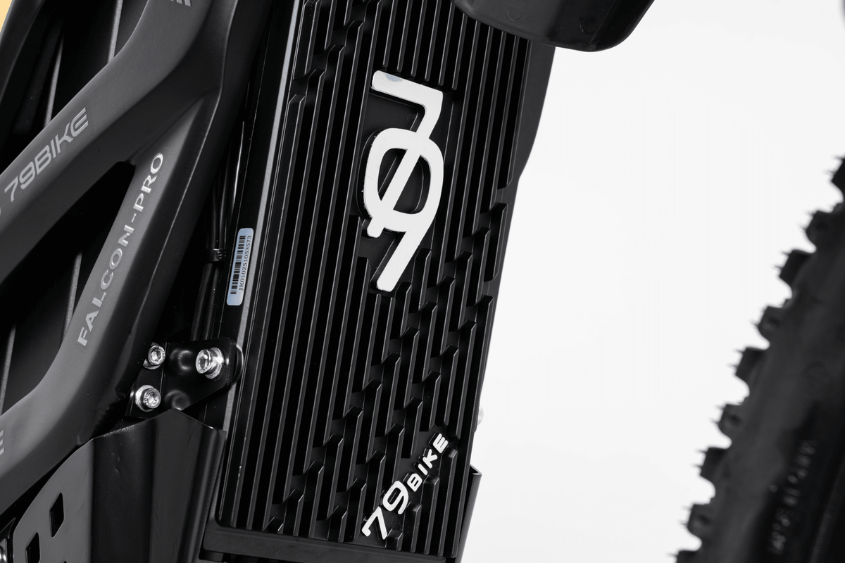 Cuadro de la 79BIKE Falcon Pro RL