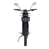 Moto cross eléctrica 79BIKE Falcon Pro RL vista desde atrás