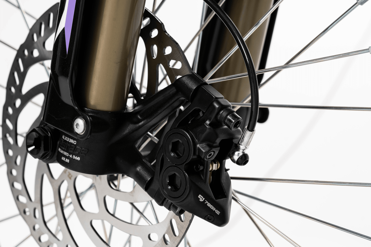 Rueda delantera y horquilla de la 79BIKE Falcon Pro RL
