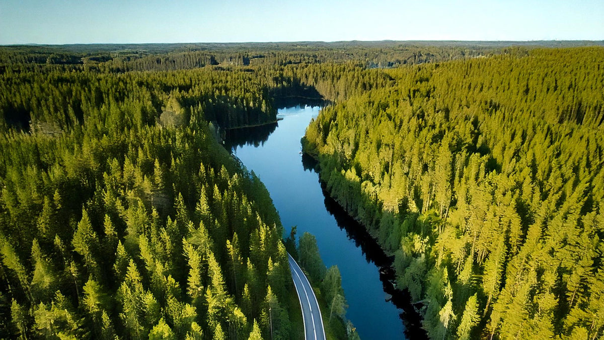 Paisaje de bosque con carretera y agua