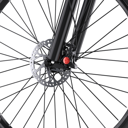 Duotts C29-S - Bicicleta eléctrica - Wheelyshop