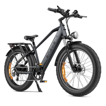 Bicicleta eléctrica fat bike ENGWE E26 vista en ángulo desde atrás en color gris