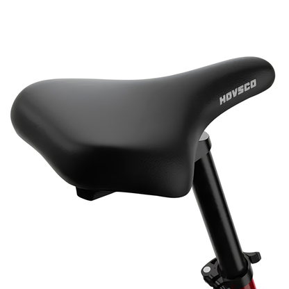 HOVSCO HovBeta - Bicicleta eléctrica - Wheelyshop