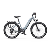 Bicicleta eléctrica OneSport WT05 en vista lateral con cuadro gris, cuadro de paso bajo, portaequipajes y guardabarros sobre las ruedas