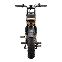 Bicicleta eléctrica fat bike TST R7 vista desde atrás en color beige