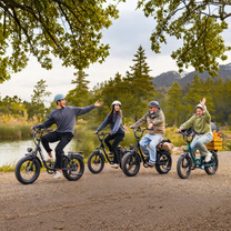 URLIFE E20 Pro bicicleta eléctrica con clasificación IP54 – Wheelyshop