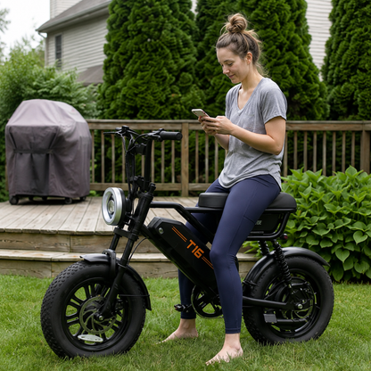 URLIFE T16 - Bicicleta eléctrica - Wheelyshop