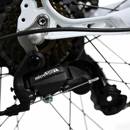 YANGOR H700 (36V 10.4Ah) - Electric bike - Wheelyshop