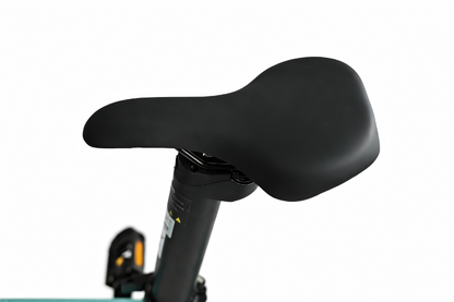 YANGOR H19 (36V 10Ah) - Bicicleta eléctrica - Wheelyshop