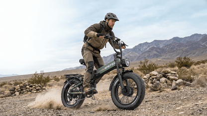 APEFOX RH20 - Bicicleta eléctrica - Wheelyshop