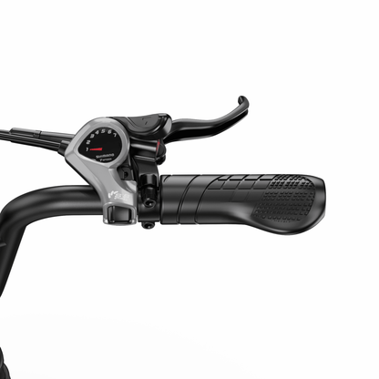 APEFOX RH20 - Bicicleta eléctrica - Wheelyshop