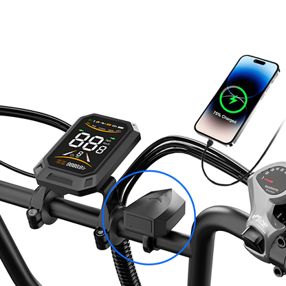 APEFOX RH20 - Bicicleta eléctrica - Wheelyshop
