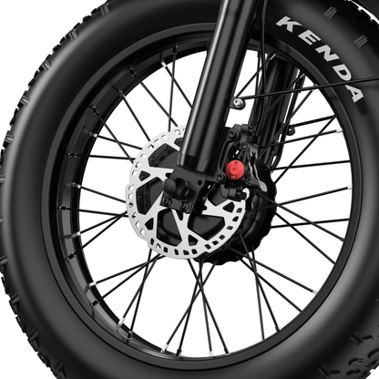 APEFOX RH20 - Bicicleta eléctrica - Wheelyshop