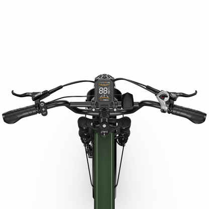 APEFOX RH20 - Bicicleta eléctrica - Wheelyshop