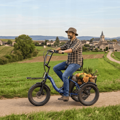 APEFOX RH30 - Triciclo eléctrico - Wheelyshop