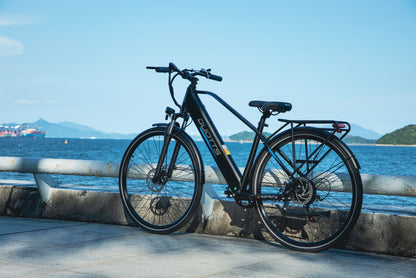 Duott's C29 Lite - Electric bike - Wheelyshop