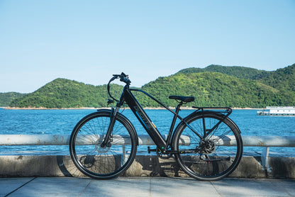 Duott's C29 Lite - Electric bike - Wheelyshop