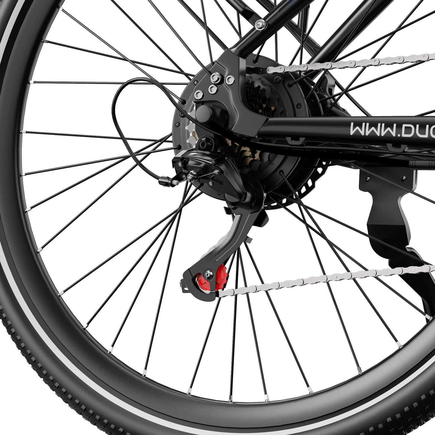 Duott's C29 Max - Electric bike - Wheelyshop