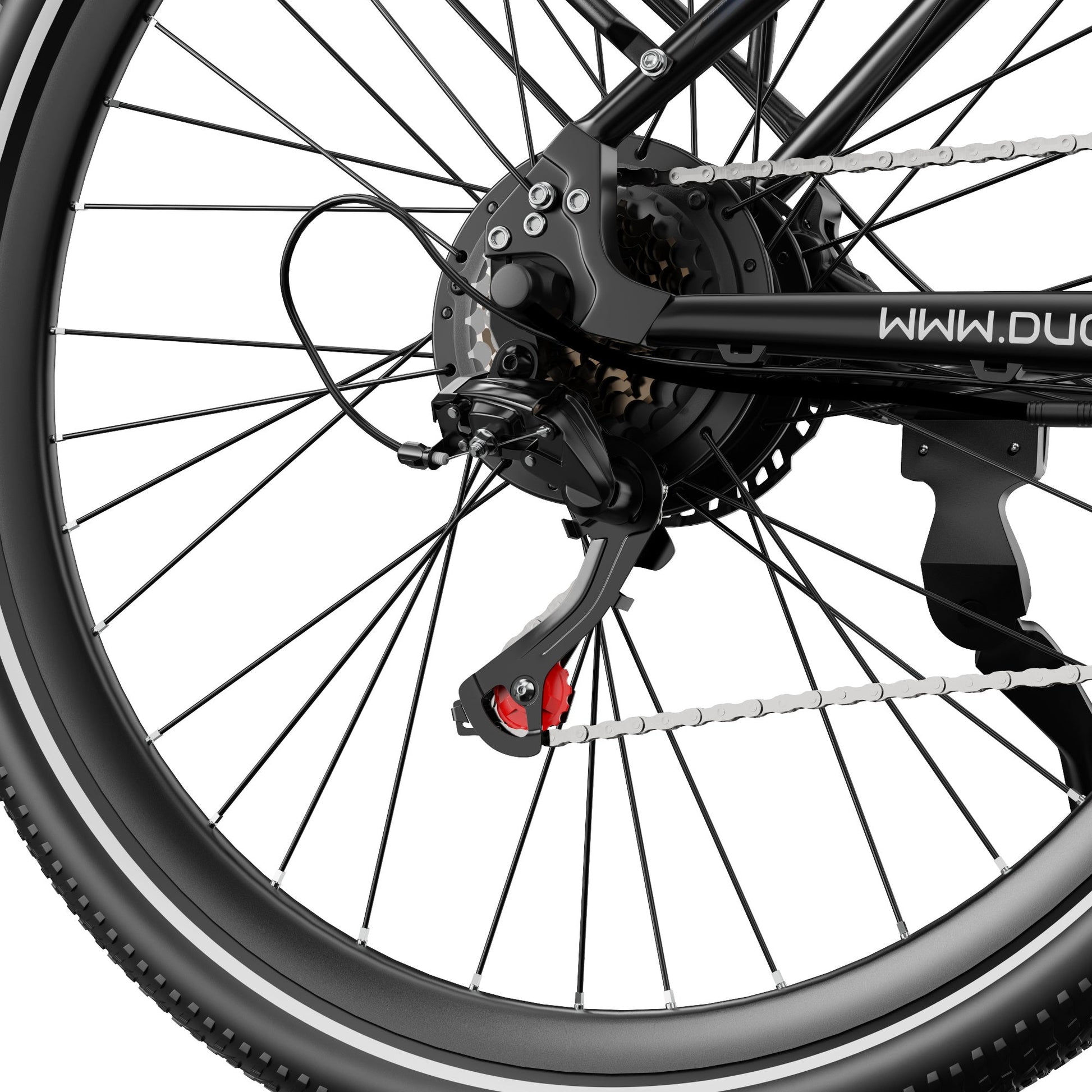 Duott's C29 Max - Electric bike - Wheelyshop