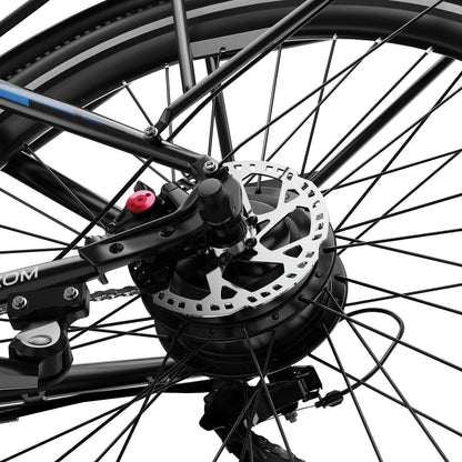 Duott's C29 Max - Electric bike - Wheelyshop