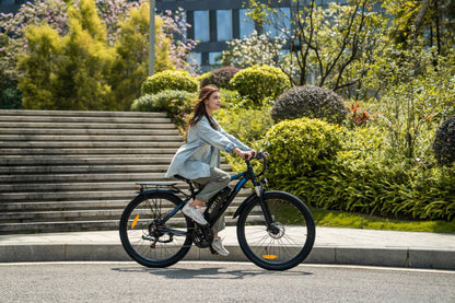 Duott's C29 Pro - Electric bike - Wheelyshop