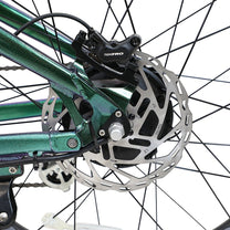 Freno de disco de la Duotts E26 en color verde