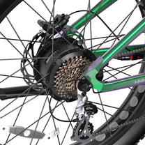 Rueda trasera de la Duotts E26 en color verde