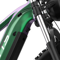 Cuadro de la Duotts E26 en color verde