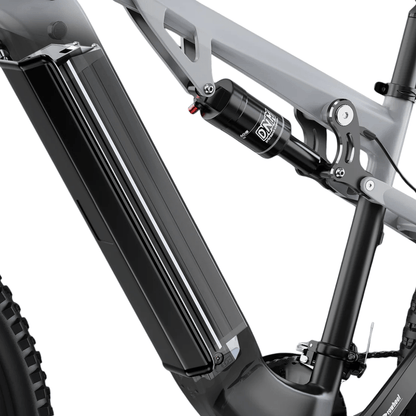 Duott's E29 - Electric bike - Wheelyshop