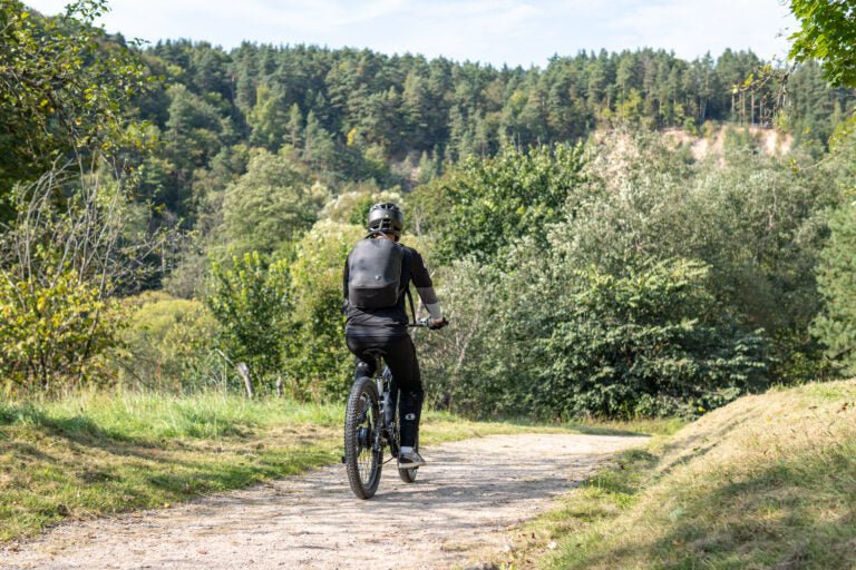 Duott's E29 - Electric bike - Wheelyshop