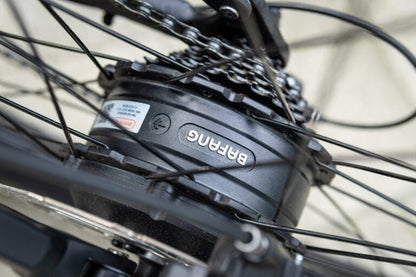 Duott's E29 - Electric bike - Wheelyshop