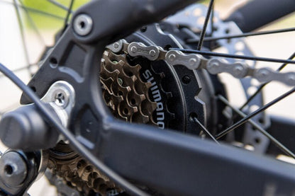 Duott's E29 - Electric bike - Wheelyshop