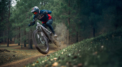 Duott's E29 - Electric bike - Wheelyshop