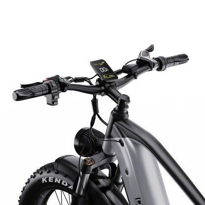 Duott's F26 Pro - Electric bike - Wheelyshop