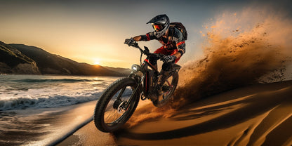 Duott's S26 Pro - Electric bike - Wheelyshop