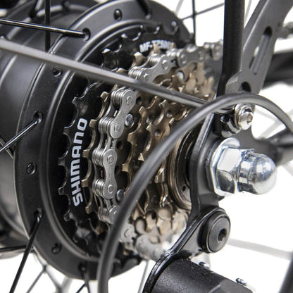 DYU C6 - Electric bike - Wheelyshop