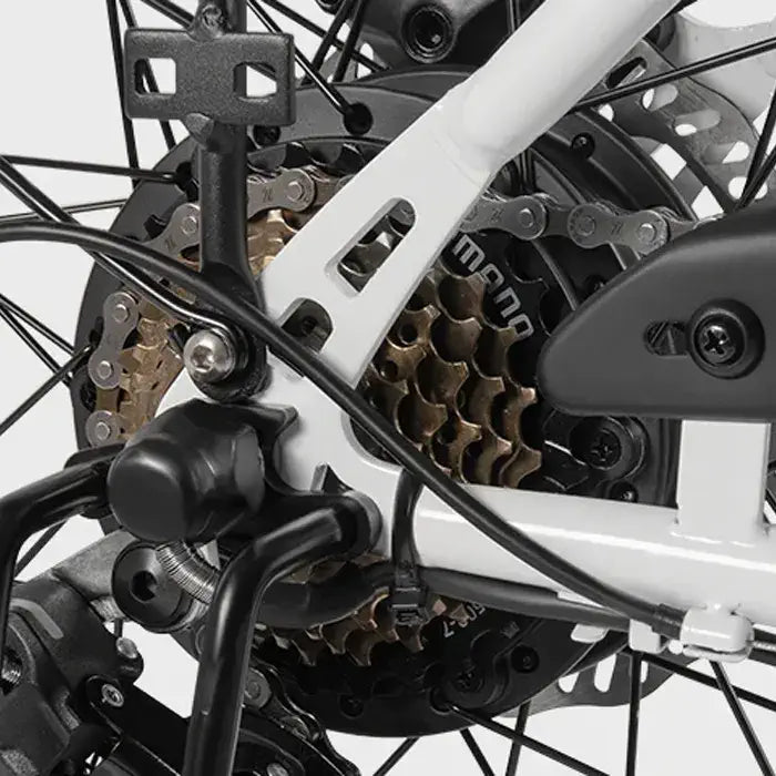 DYU C6 Pro - Electric bike - Wheelyshop