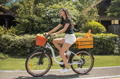 DYU C6 Pro - Electric bike - Wheelyshop