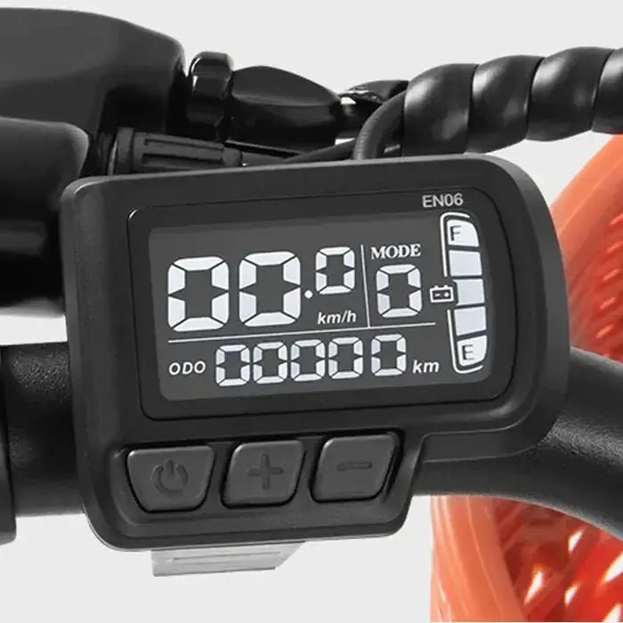 DYU C6 Pro - Electric bike - Wheelyshop